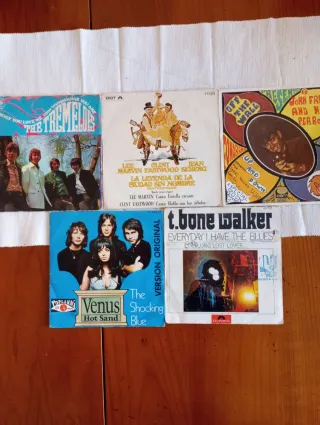 Lote 17 Singles Vinilo Indie Punk Rock.vg+