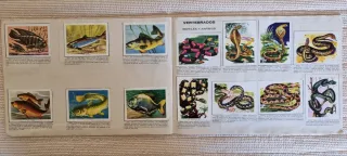 Álbum de Cromos Ciencia y Arte