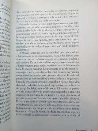 Spinoza. Luciano Espinosa.