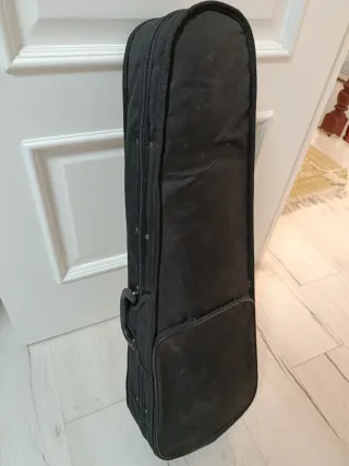 Violín con funda y arco