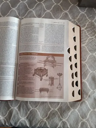 Biblia de estudio gracia y verdad.