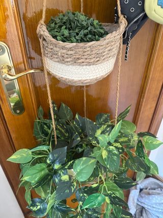 Cestas colgantes decorativas sin plantas