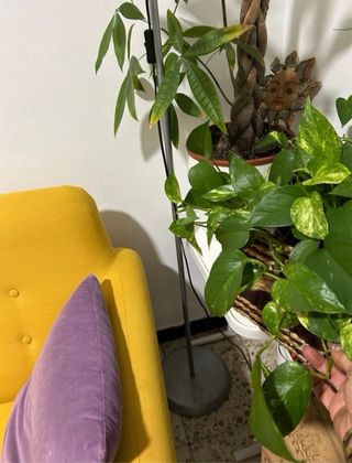 Lámpara de pie moderna