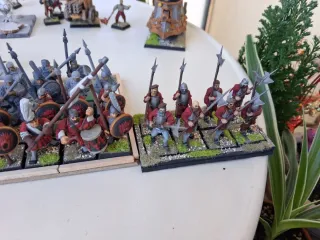 Warhammer fantasy. Ejército Imperio. Lote Carlos A