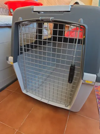 Transportín jaula XL Perros Grandes Viaje, avión.