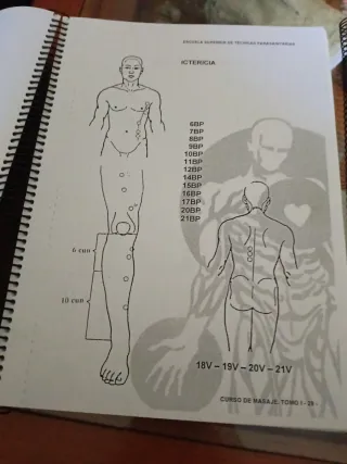 Curso de masaje tomo I y libro de anatomía