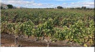 Bodega ecológica en funcionamiento de 28 hectáreas