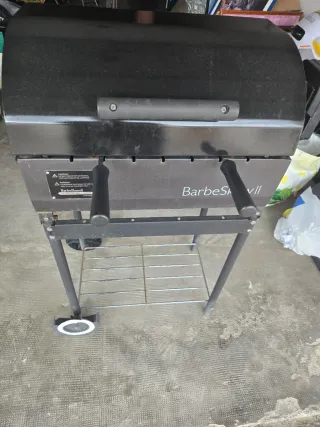 Barbacoa de carbón/leña