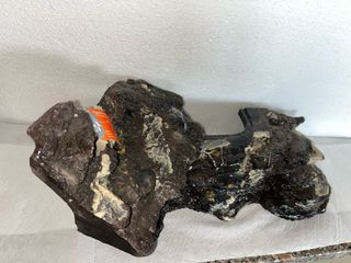 Roccia Acquario Terrario Coprifiltro Grande