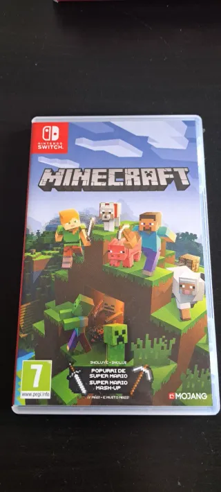 Minecraft Nintendo Switch