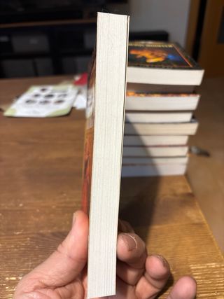 Raistlin, crisol de la magia