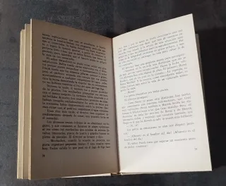 PUCK DAMA DE HONOR. LISBETH WERNER