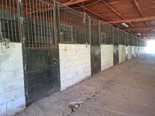 FINCA AGROGANADERA DE GRAN EXTENSIÓN EN OSUNA