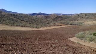 FINCA AGROGANADERA DE GRAN EXTENSIÓN EN OSUNA