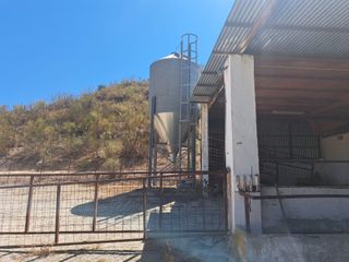 FINCA AGROGANADERA DE GRAN EXTENSIÓN EN OSUNA