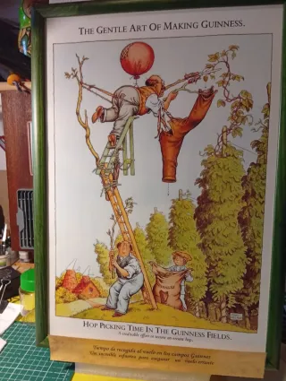 Lote 12 Láminas Originales Guinness