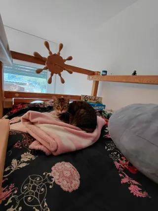 Litera 1.60m madera, forma de barco y columpio