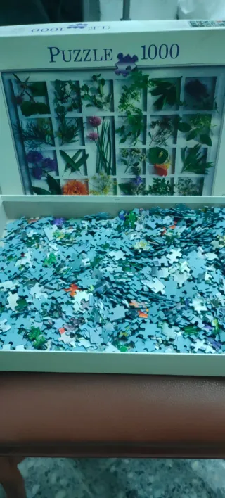 El Juego del Siglo + puzzle