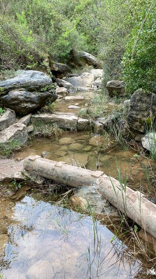 Descubre la montaña como nunca antes