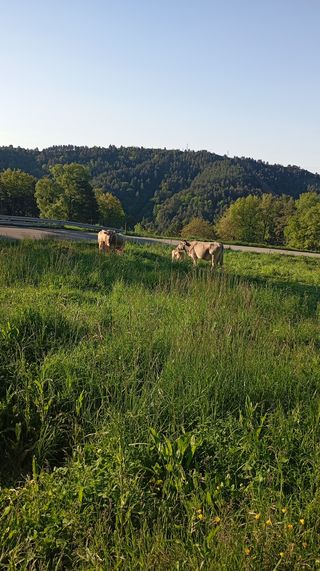 Descubre la montaña como nunca antes