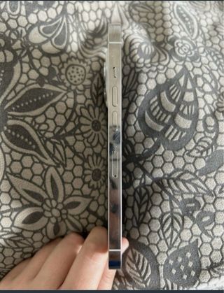 iPhone 13 Pro Max 256GB Plata