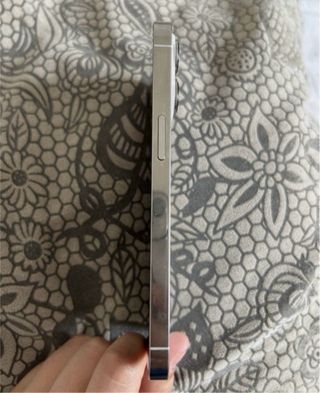 iPhone 13 Pro Max 256GB Plata