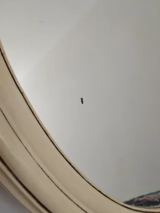 Espejo circular beige con marco de madera