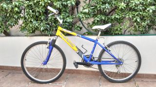 Bicicleta de Montaña Globe Trotter