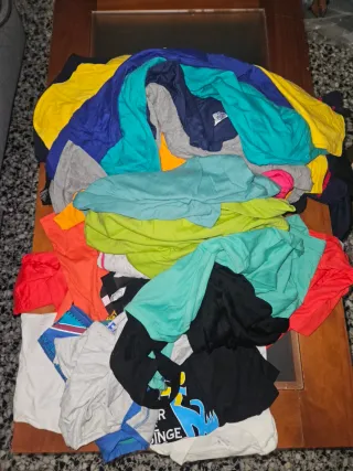 Lote de camisetas multicolor