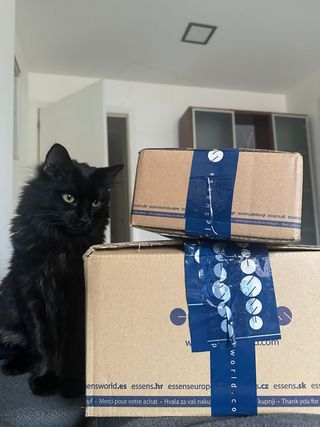 Caja sorpresa ropa vintage