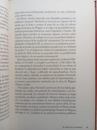 Nietzsche. José Rafael Hernández.