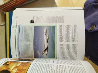 Manual Educación física y deportes