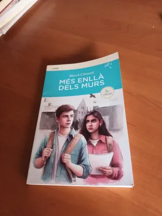 Més enllà dels murs