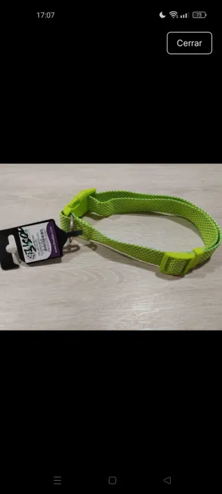 Collar para mascotas 4 Huellas verde