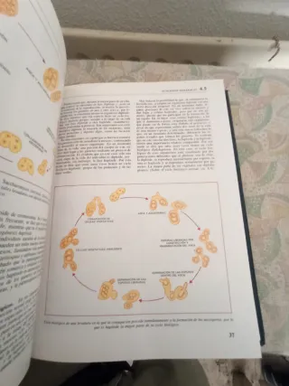 Gran Acta 2000 Naturaleza y hombre