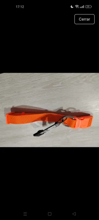 Collar para mascotas naranja