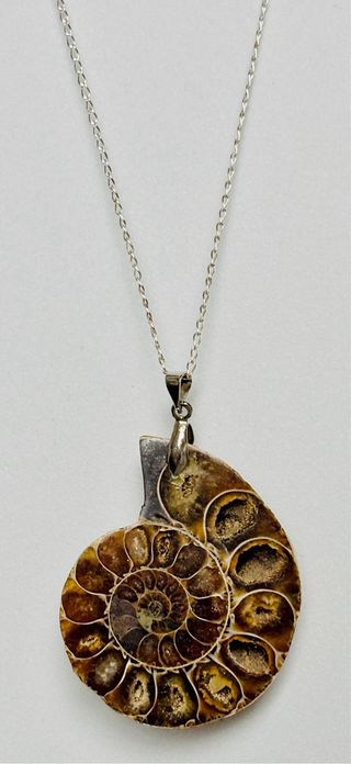 Colgante de ammonites + cadena en plata de ley 925