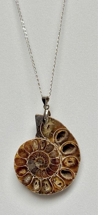 Colgante de ammonites + cadena en plata de ley 925