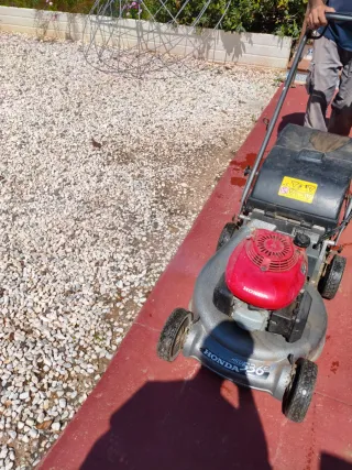 Cortacésped Honda HRD 536c