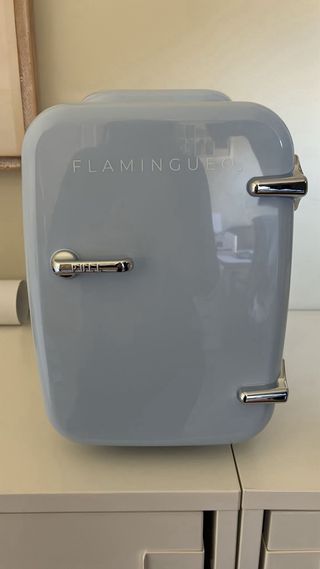 Mini nevera portátil FLAMINGUEO