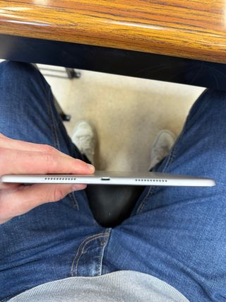 iPad Pro 10.5 256GB Space Gray sin cargador