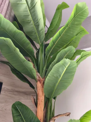 Planta INTERIOR artificial alta con maceta