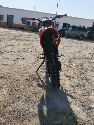 Pit Bike ROAN 140cc 4T Motocross