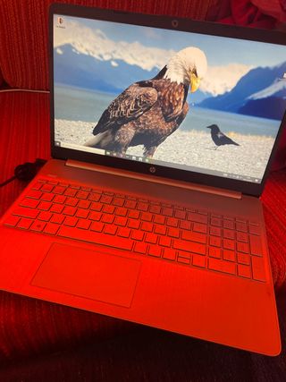 Ordenador Portátil HP Plata