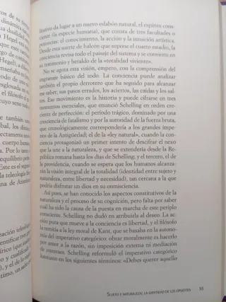 Schelling. Ignacio González.