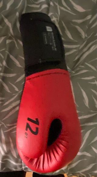 Guantes de boxeo y tibiales morados