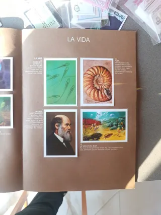 Álbum Cromos De Donde Venimos