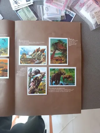 Álbum Cromos De Donde Venimos