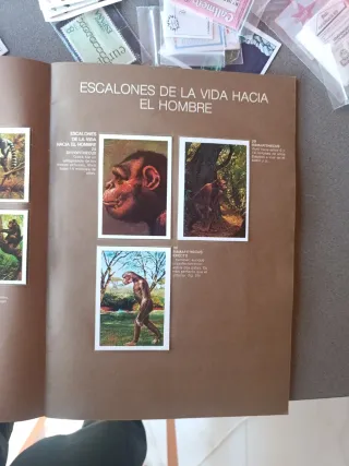 Álbum Cromos De Donde Venimos