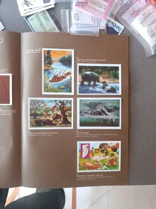 Álbum Cromos De Donde Venimos